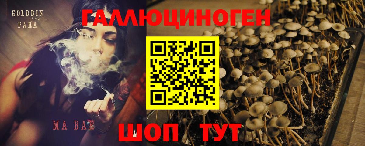 Галлюциногенные грибы ЛСД  Вход с VPN  Гуково  Галлюциногенные грибы MAGIC MUSHROOMS 