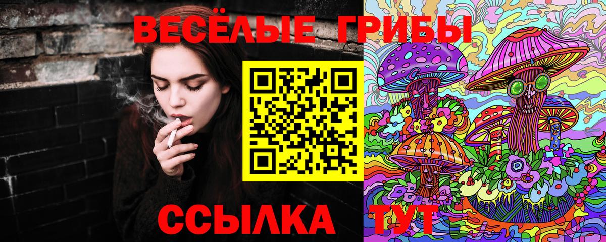 Галлюциногенные грибы Psilocybe Гуково