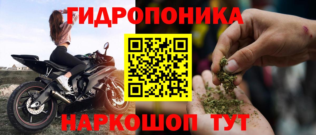 Бошки Шишки сатива Гуково